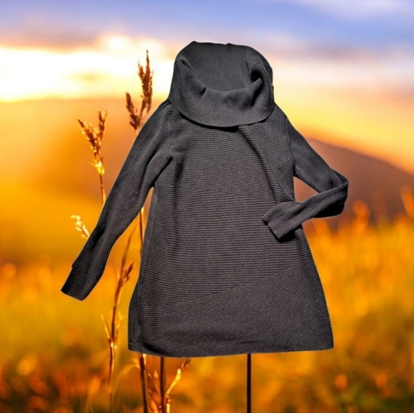 Tunic Long Sleeve Sweater or Dress - Picture 1 of 3